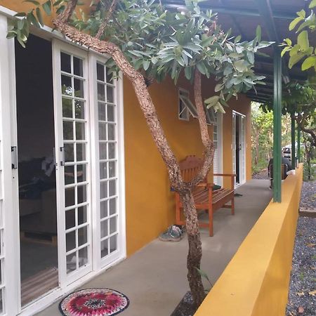 Jardim Da Lila - Um Recanto De Paz Em Alto Paraiso Alto Paraíso de Goiás 外观 照片